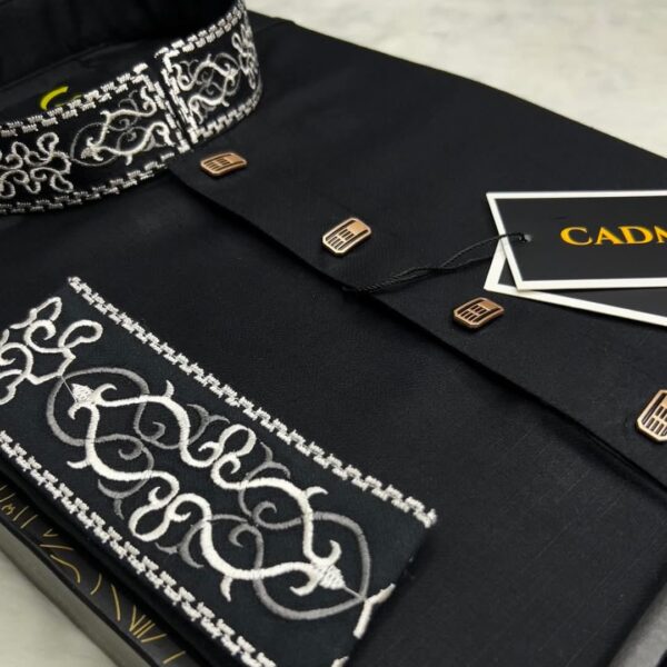 Hand Embroidery Panjabi - Image 4